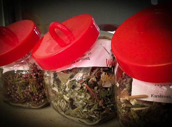 Herbal teas from Latvia
