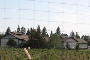 Lave Cap Winery 