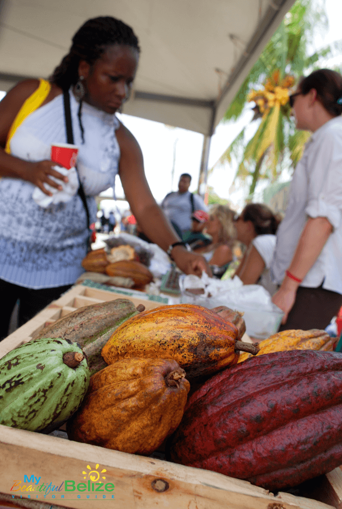 Cacao at the Chocolate Festival of Belize - Photo Courtesy of My Beautiful Belize 