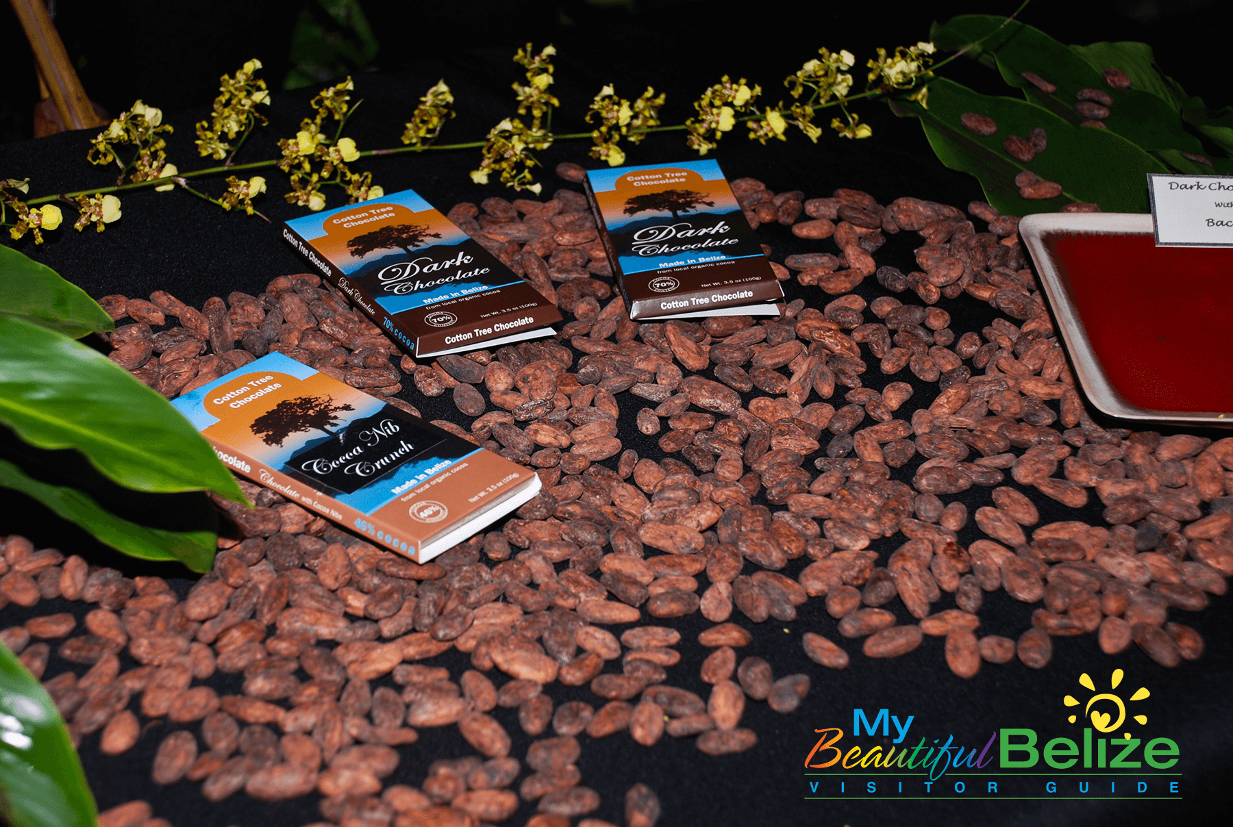 Cotton Tree Chocolate at the Toledo Chocolate Festival in Belize - Photo Courtesy of My Beautiful Belize/San Pedro Sun