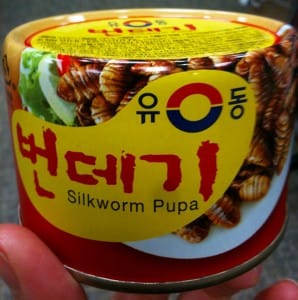Photo of the Week: Silkworms in a Can from South Korea